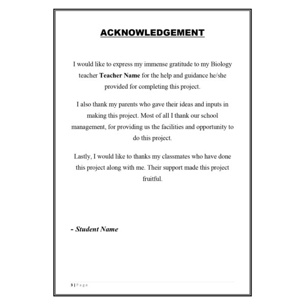 Drug Addiction Project PDF - Image 3