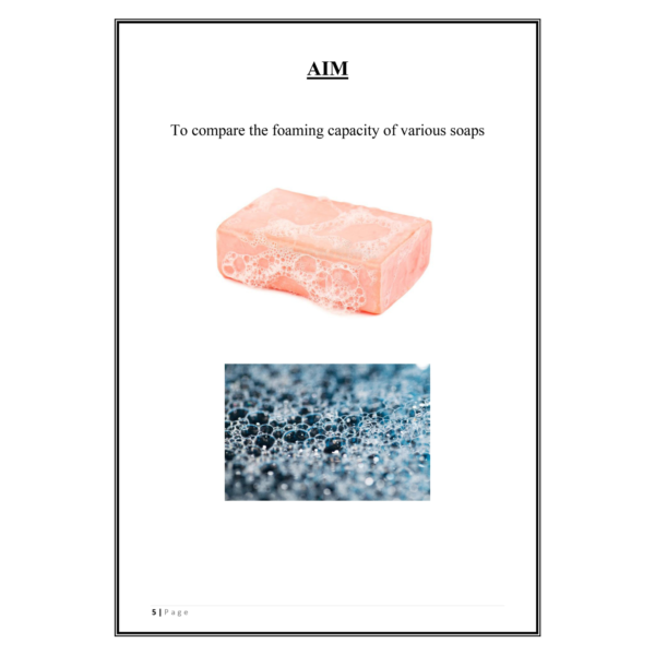 Foaming Capacity of Soap Project PDF - Image 4