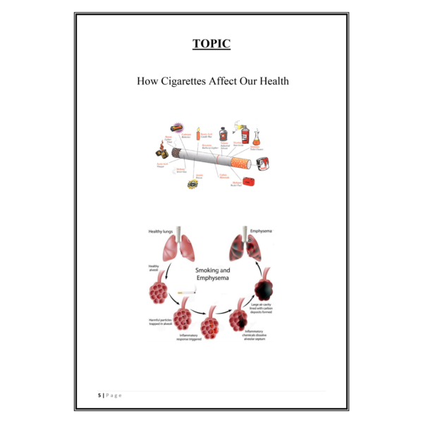 How Cigarette Affect Our Health Project PDF - Image 4