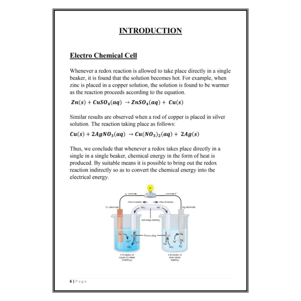 Electrochemical Cell Project PDF - Image 5