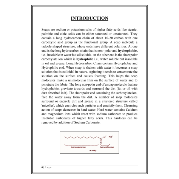 Foaming Capacity of Soap Project PDF - Image 5