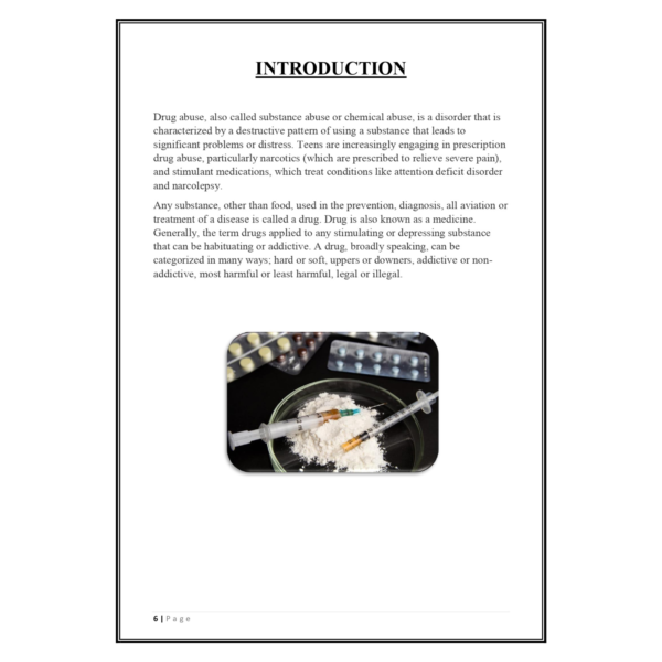 Drug Addiction Project PDF - Image 5